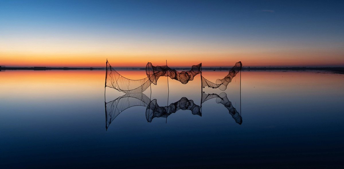 Pili Rius (@piliriuss) on Twitter photo Sou més d'hora blava o daurada?. El dia 26 de Gener tindreu la oportunitat de saber-ho. Encara queden places lliures per a la sortida fotogràfica al #deltadelebre <a href="/terresebretur/">Terres de l'Ebre</a> Sou més d'hora blava o daurada?. El dia 26 de Gener tindreu la oportunitat de saber-ho. Encara queden places lliures per a la sortida fotogràfica al #deltadelebre <a href="/terresebretur/">Terres de l'Ebre</a>