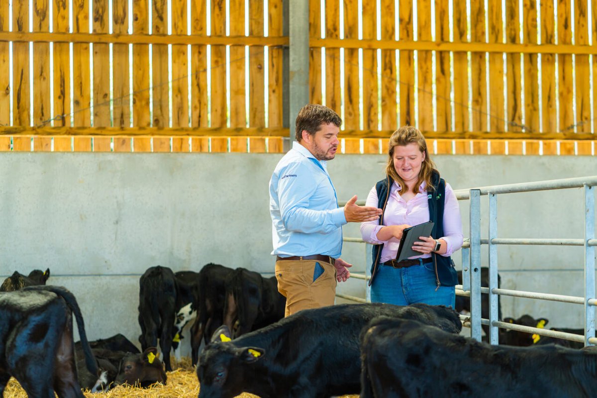 Gamechanger Farming tweet media