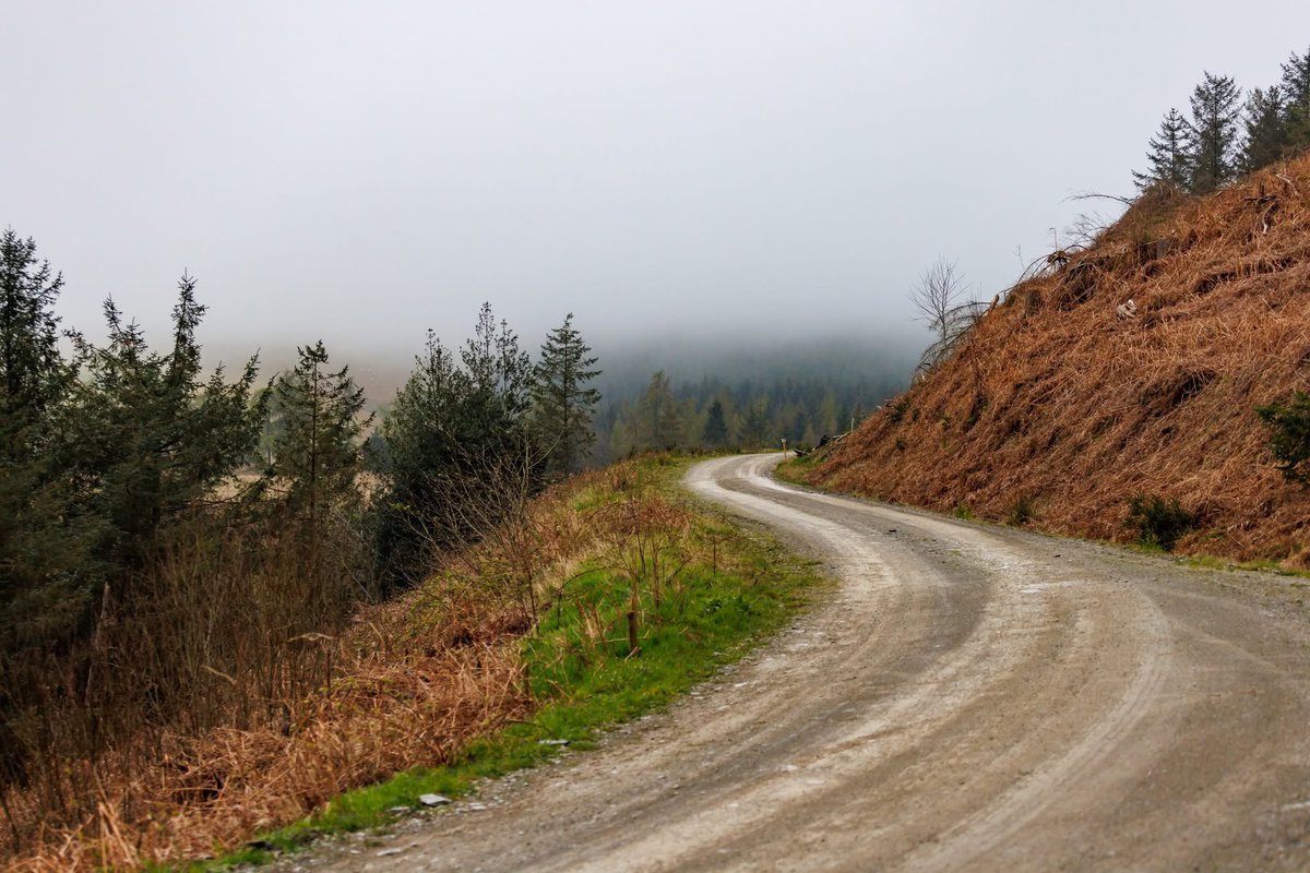 Severn Valley Stages tweet media