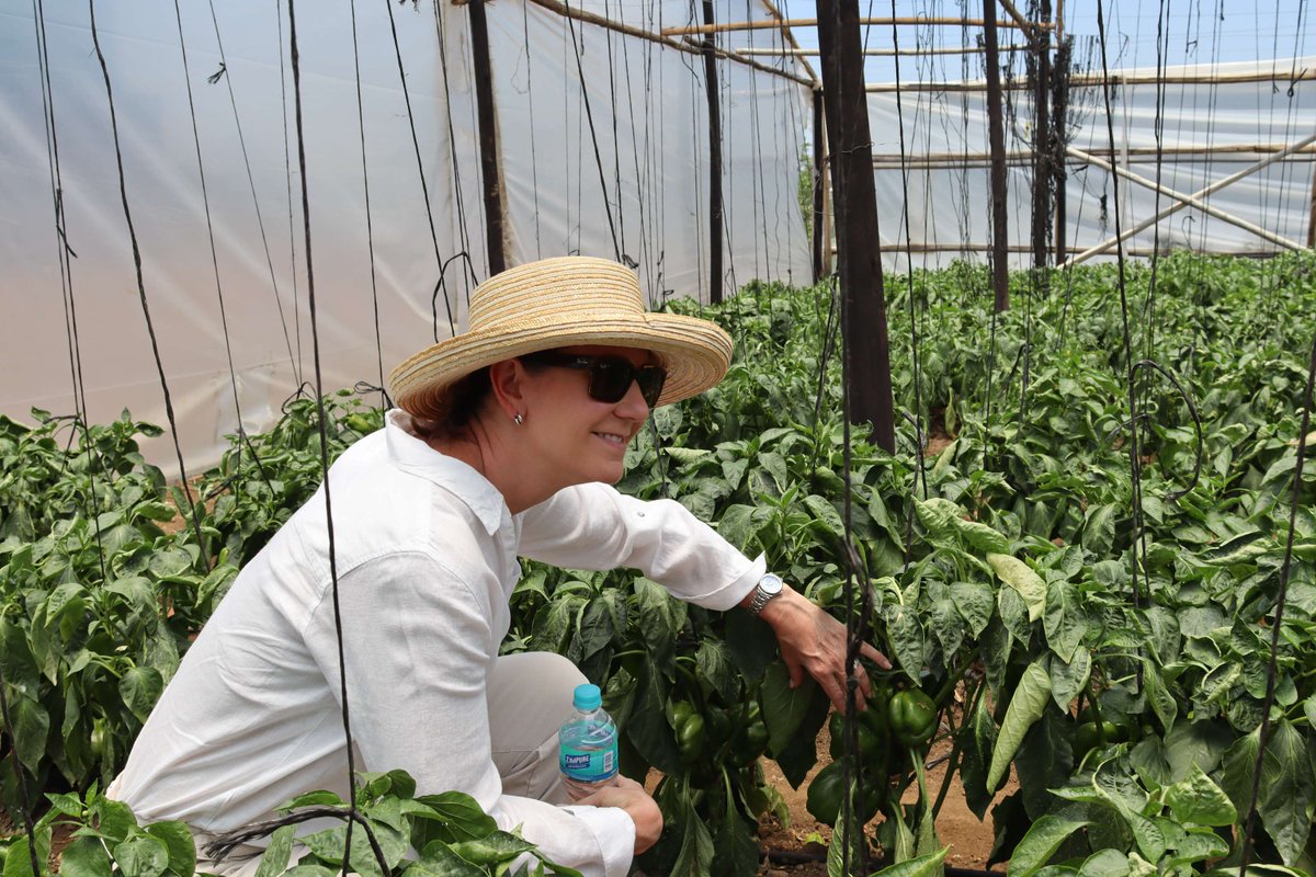 On December 6th, the United States Ambassador to Zimbabwe visited WE4F innovator, Palmworth Investments, to learn more about the impact of WE4F's work with Zimbabwean biogas companies and the progress of implementation at Palmworth's Vitality Farms.