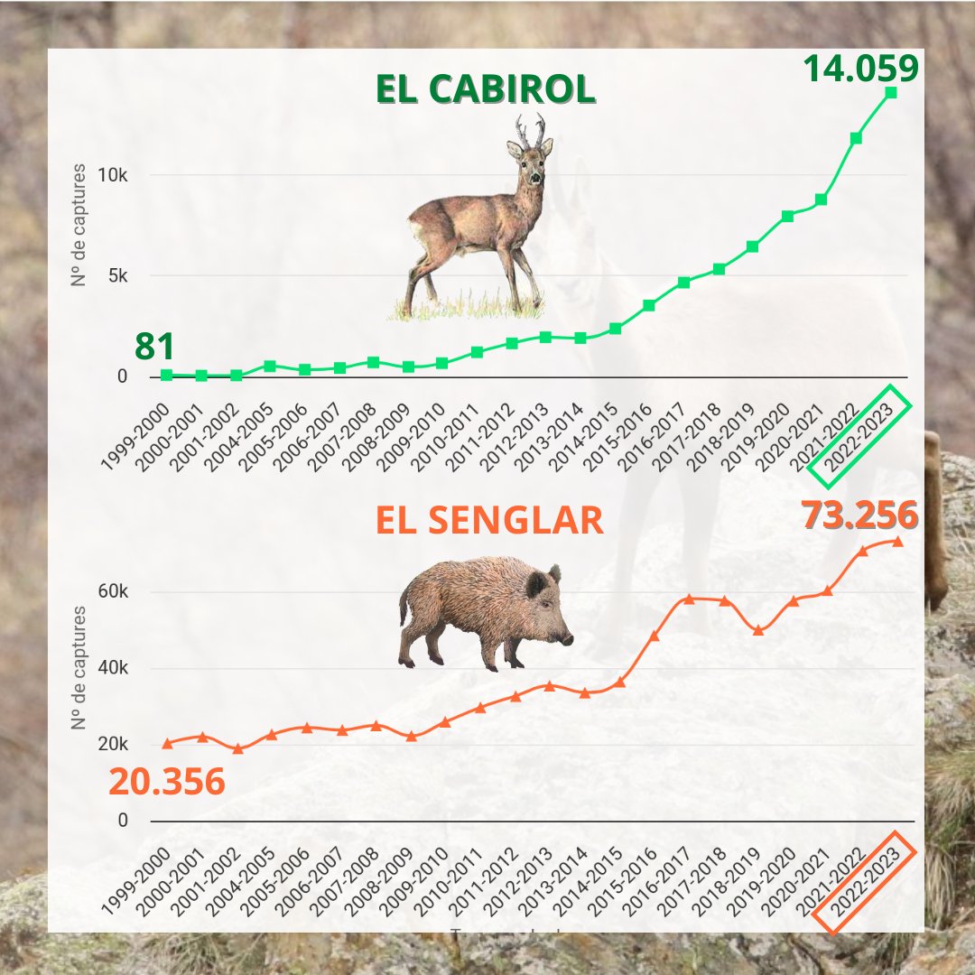 Publiquem les captures de #caça 🐗regitrades a Catalunya per la temporada 2022-2023 (Sèrie 1999-2023)

Tota l'evolució segons espècies a la nostra web observatoriforestal.cat

<a href="/ruralcat/">Ruralcat</a>  <a href="/ctforestal/">CTFC</a> @agentsrurals_cat <a href="/agentsruralscat/">Agents Rurals</a>