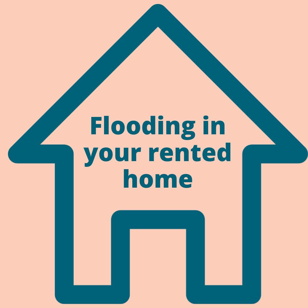 🏠 Your landlord is responsible for repairs if your rented home is affected by flooding.

This includes fixing damage to the structure of your home and making sure your water, gas and electricity are working.

Here’s what you need to know ⤵️
buff.ly/3DJLCsc