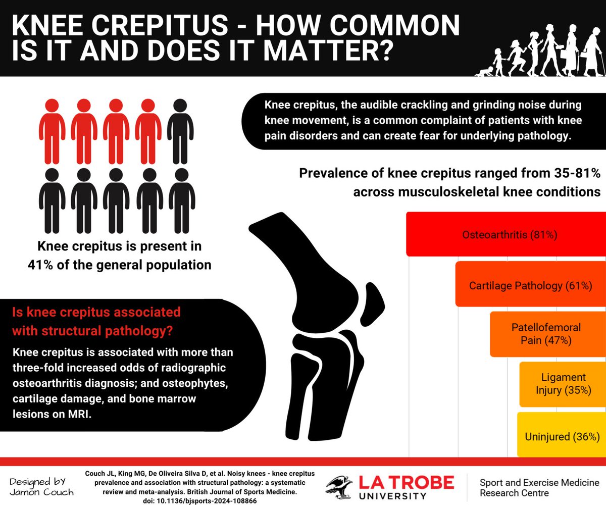 Noisy Knees – How common is it and does it matter?🦵

Have you ever wondered how common knee crepitus is, and whether it relates to pathology?

This #BJSMblog breaks down a recently published study ✅📄

READ HERE 👉 bit.ly/4h75LXA