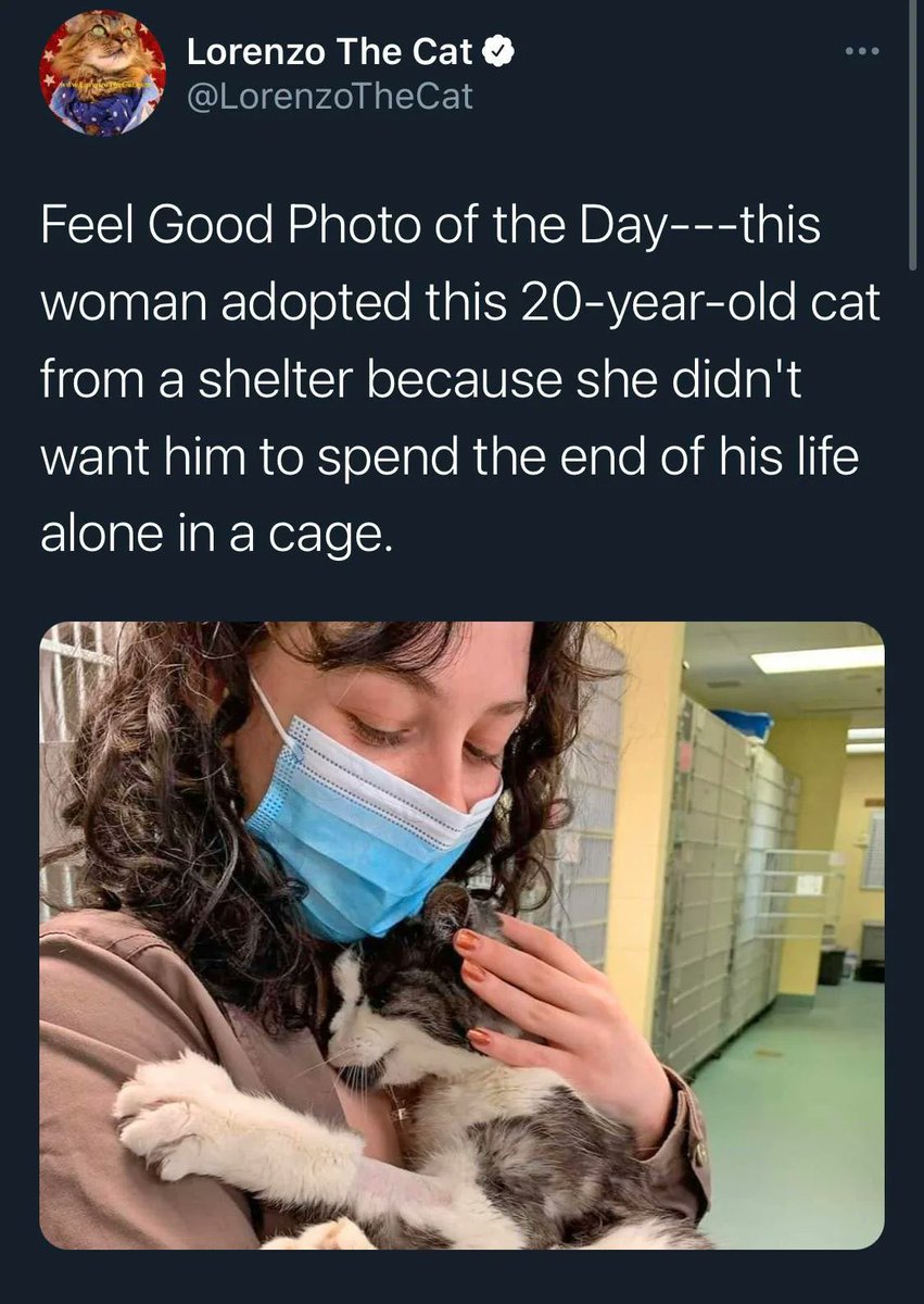 earth_tracker's tweet image. 11. This made me smile 🥹