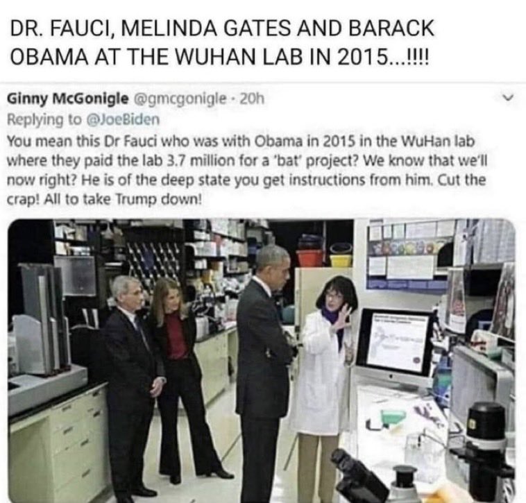 liz_churchill10's tweet photo. @BarackObama @JoeBiden You’re a BIOLOGICAL TERRORIST. https://t.co/Hxckaoq7ea