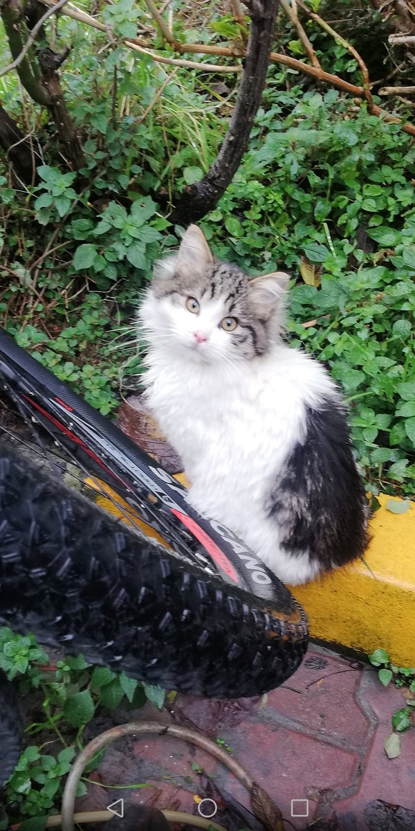 Şuraya bir güzellik bırakıyorum😊 Ponpon❤️