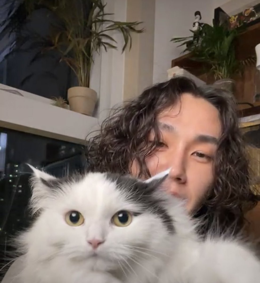 VinaHoonie1004's tweet photo. Ilhoon having cat wasn't in my 2025 bingo card 😭😭😭😭 https://t.co/bLYXd2kf6Q