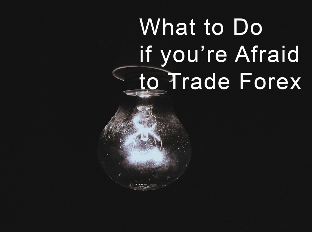What to do if you’re afraid to trade Forex: shorturl.at/mCOO0
#forexeducation #forextips #forex