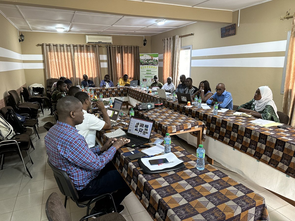 USOFORAL tweet media