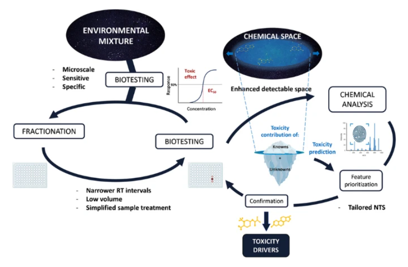 AnalBioanalChem's tweet photo. Progress, applications, and challenges in high-throughput effect-directed analysis for #toxicity driver identification — is it time for HT-EDA?
by Iker Alvarez-Mora @RiccardoMassei @BeenFrederic et al @IAlvarezMora @UFZ_de @pie_upvehu @upvehu @KWR_Water

https://t.co/Lv6TwQT1X9 https://t.co/agRsrFhPqH