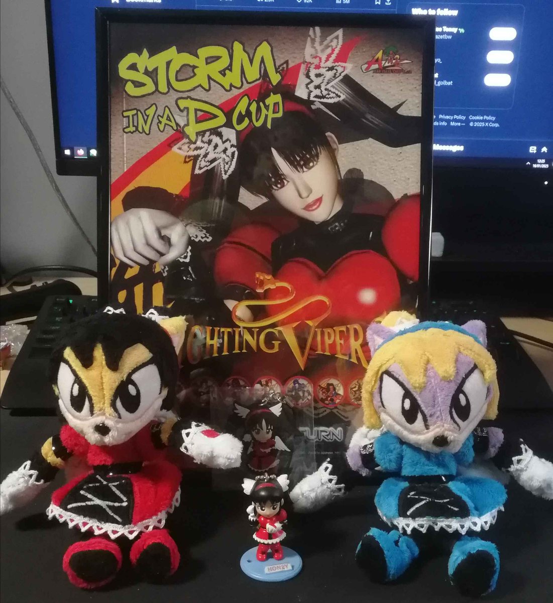 Many thanks to #donnaevans for these 2 great Honey the Cat plushes, they have a good home and have been added to my modest Honey (from Fighting Vipers) collection =D