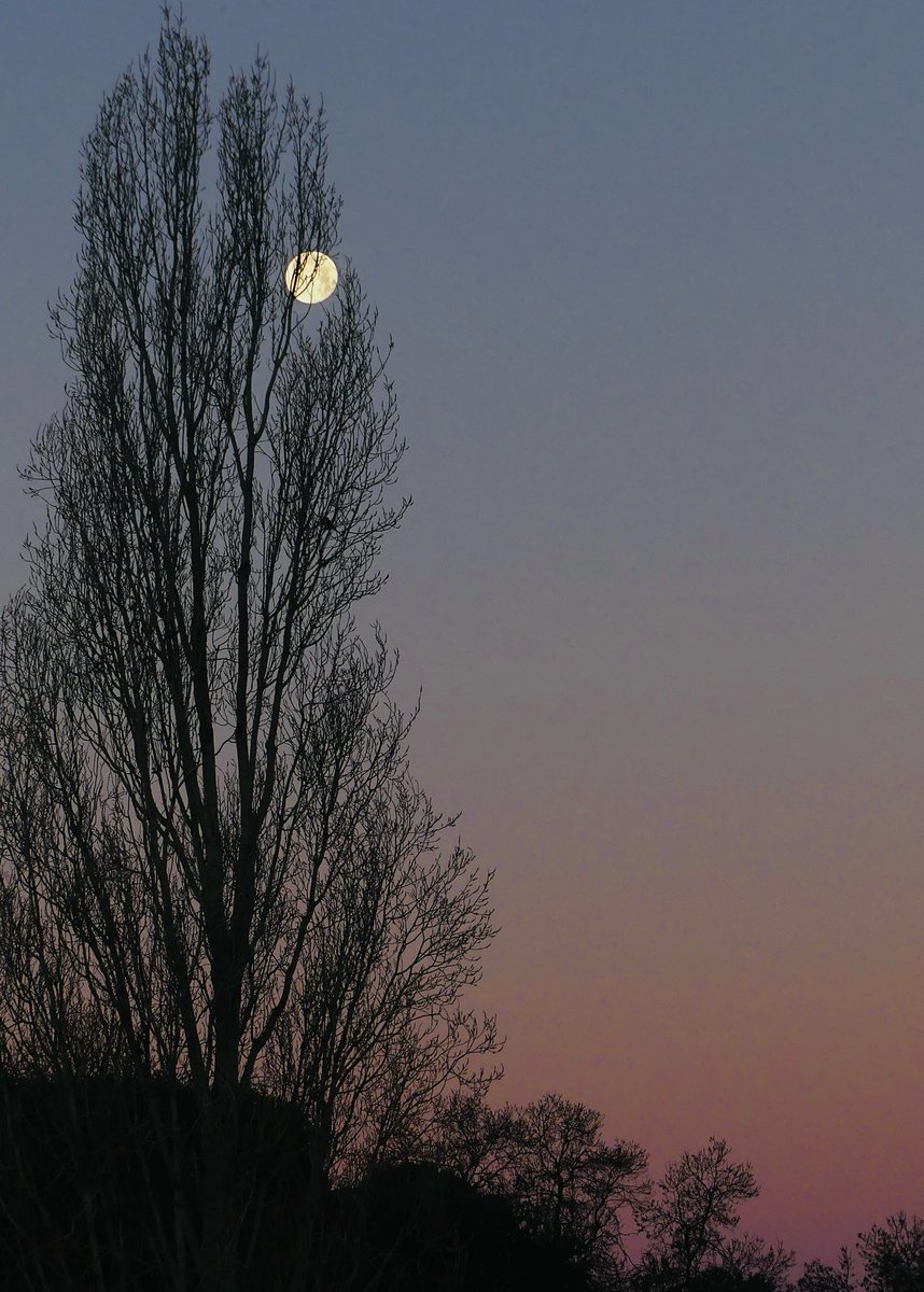 meiganalua's tweet photo. Buenos dias!
#hacerfotos #ThePhotoHour #StormHour #PhotoOfTheDay #photography #TwitterPhotography #ThePhotoMode #NaturePhotography
#themoonpicsth #MoonHour https://t.co/ljgWM5gVz6