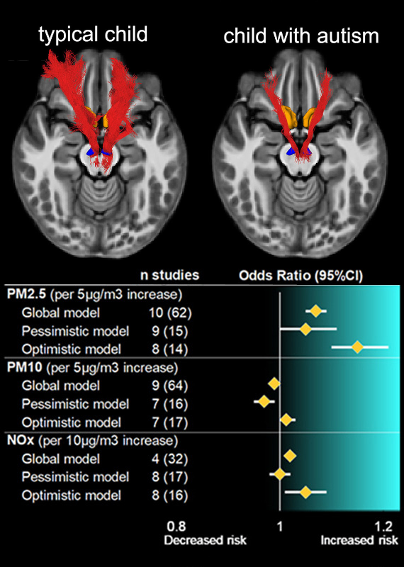 Nicholas Fabiano, MD tweet media
