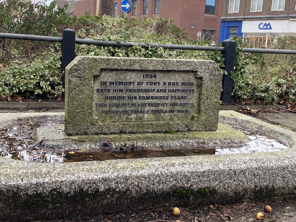 Jeremy Sallis tweet media