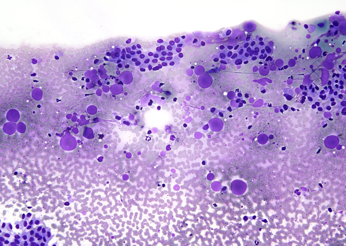 Syed Z. Ali tweet media