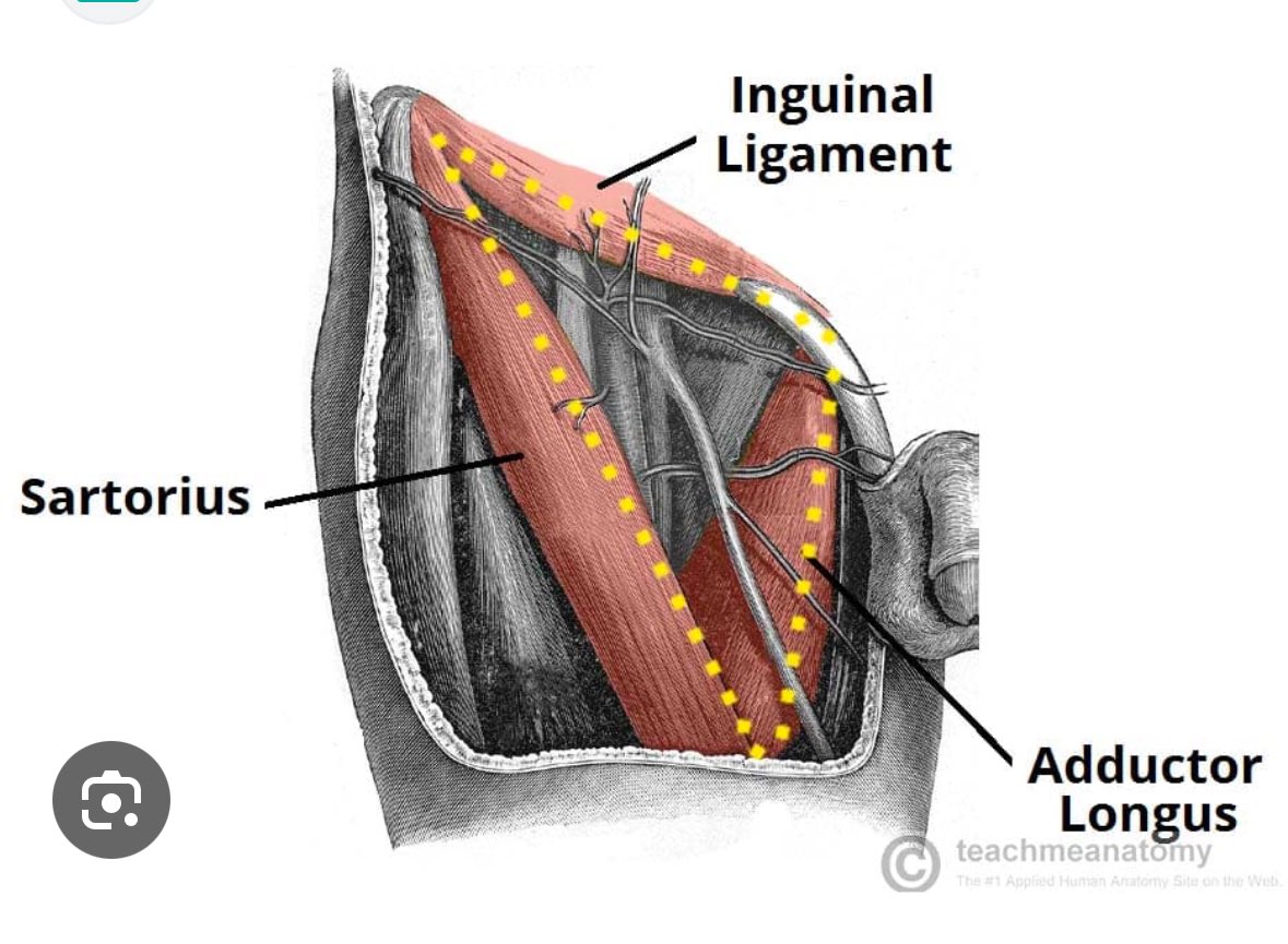Morné Wolmarans tweet media