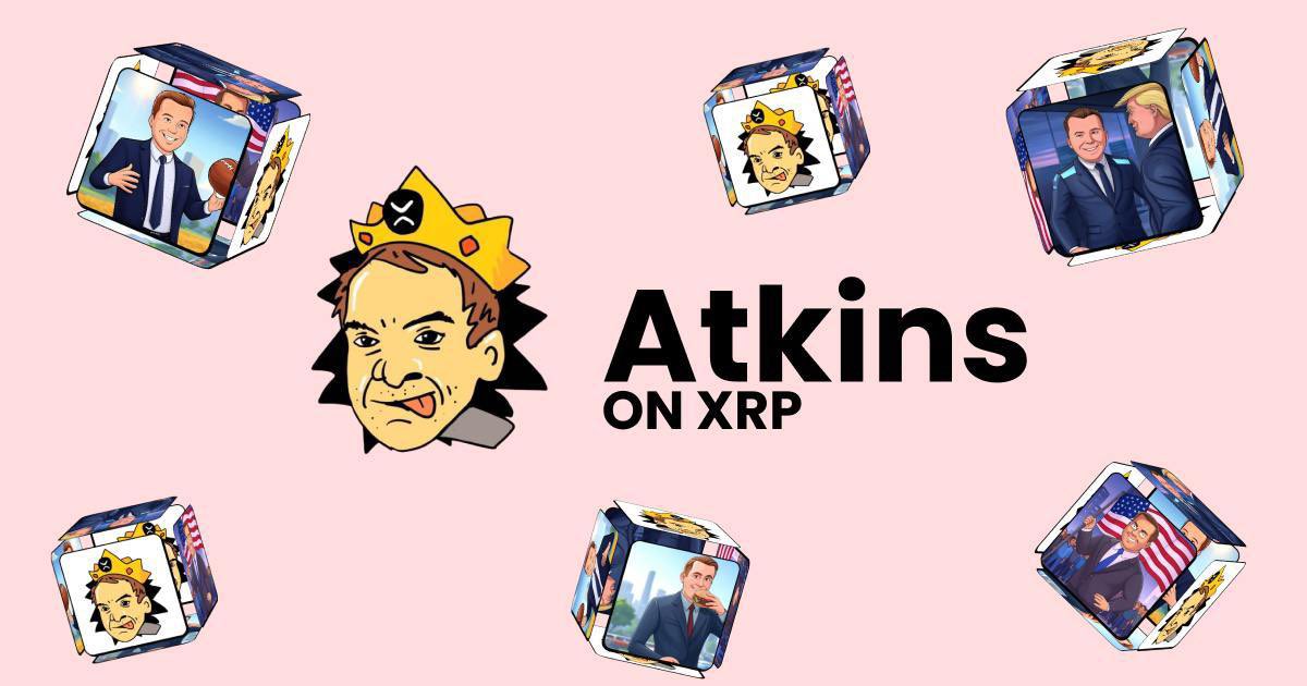 xrp lover $NOX tweet media