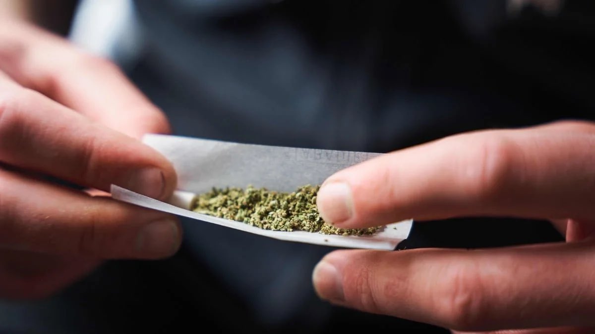 WeedcoinCto's tweet photo. EiFtkUDsYDfaQfY6TGqKUU61DttEpVCd2HFaUHZppump https://t.co/dUl19OZ2Td