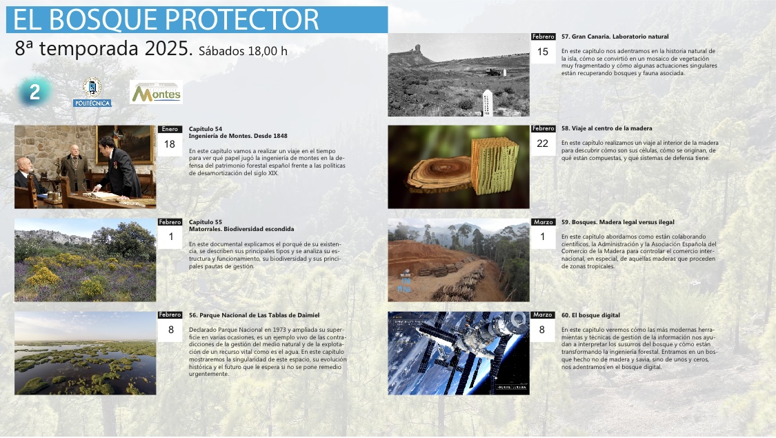 elbosquep's tweet photo. Sábado 18 de Enero a las 18,00 h en
@la2_tve 8º temporada 2025 del Bosque Protector. Ingeniería de Montes. Desde 1848 @la2_tve @La_UPM @MontesUPM @ingdemontes @FBiodiversidad https://t.co/5UBT3lSBya