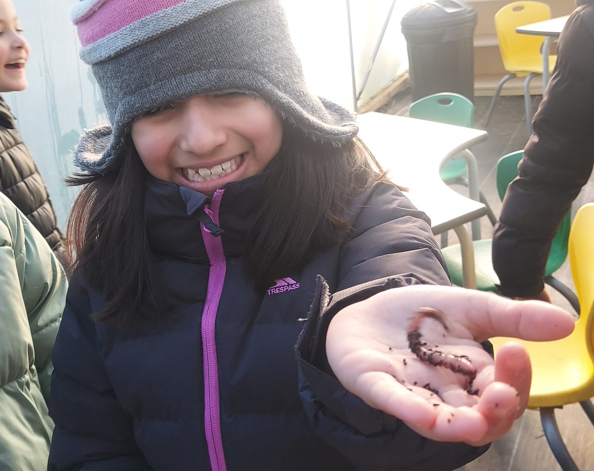 rootstofruit202's tweet photo. 'Living Things &amp; Environments' science topic this half-term, the mighty Y4's @fourdwellingspa have been investigating the life and times of the humble earthworm.

Busting myths &amp; gathering the facts we've discovered that old Wiggly-Woo really is King of the Beasts!

@MrsM_Court https://t.co/NwUwQtpchU