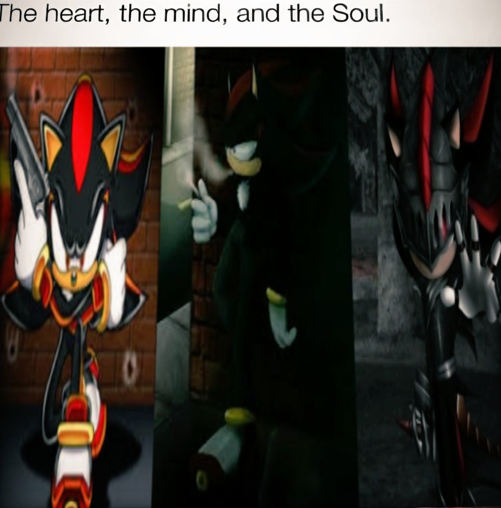 #1 Shadow The Hedgehog Fan (@realshadowfan01) on Twitter photo 