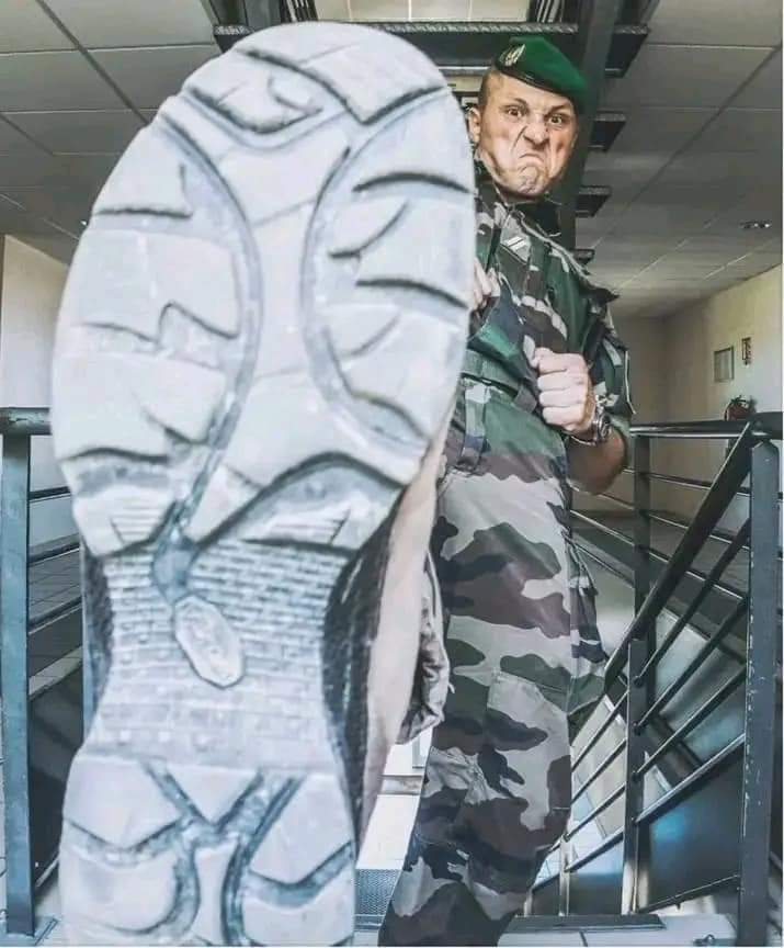 μαντω μαυρογενους tweet media