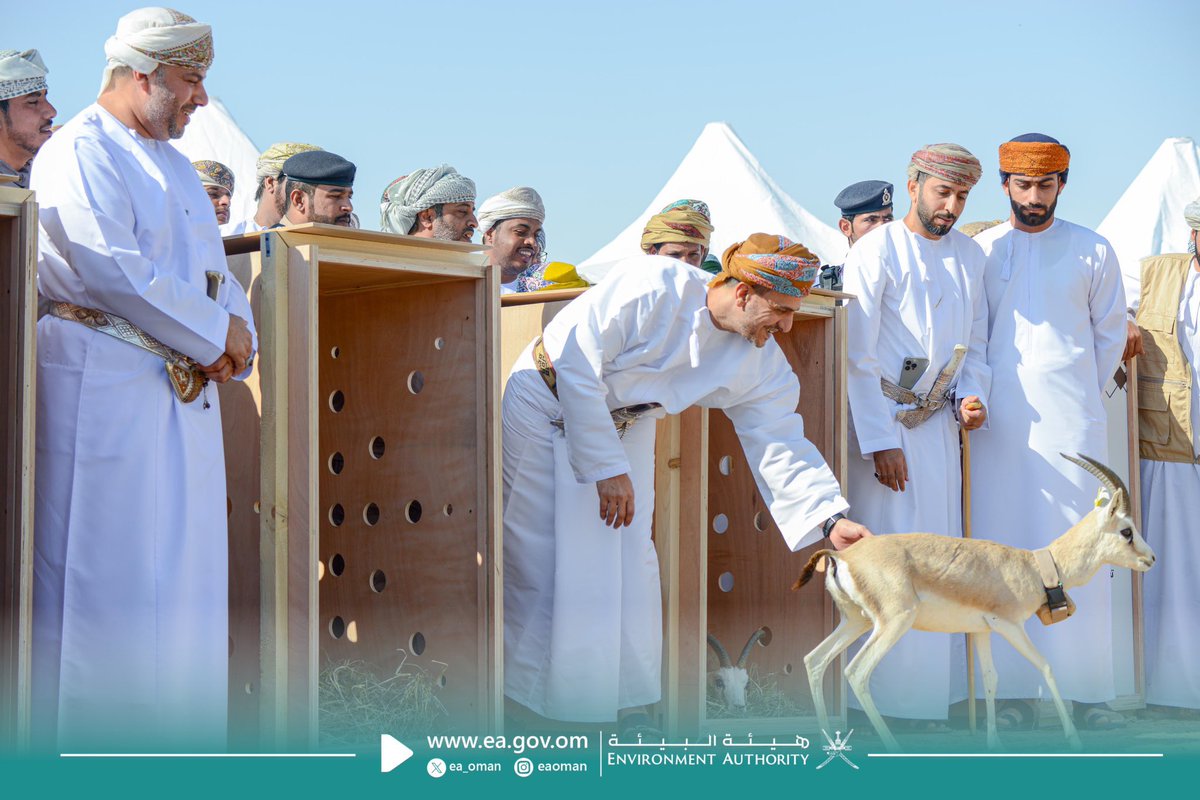 msm9999's tweet photo. حدثين هامين بولاية مقشن
اولاً : افتتاح مستشفى مقشن ويعد إضافة نوعية لمنظومة الرعاية الصحية لتسهيل الوصول للخدمة الصحية للمواطنين والمستحقين لها في #محافظة_ظفار .
ثانيا : مشروع إعادة توطين غزال الريم في ولاية #مقشن ويهدف المشروع للحفاظ على مفردات البيئة العمانية و الحياة البرية . https://t.co/KoJgOAWIhG