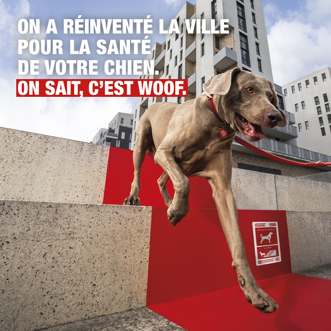 Generali France (@generalifrance) on Twitter photo Avec la <a href="/SPA_Officiel/">La SPA France</a> et #NatureDeChien nous avons transformé les bancs, poteaux et lampadaires en salle de sport pour chiens !
Découvrez nos tutos ! 💪
🔗 generali.fr/urban-doggy-fi…
#urbandoggyfit #pets #sport #doglover Avec la <a href="/SPA_Officiel/">La SPA France</a> et #NatureDeChien nous avons transformé les bancs, poteaux et lampadaires en salle de sport pour chiens !
Découvrez nos tutos ! 💪
🔗 generali.fr/urban-doggy-fi…
#urbandoggyfit #pets #sport #doglover