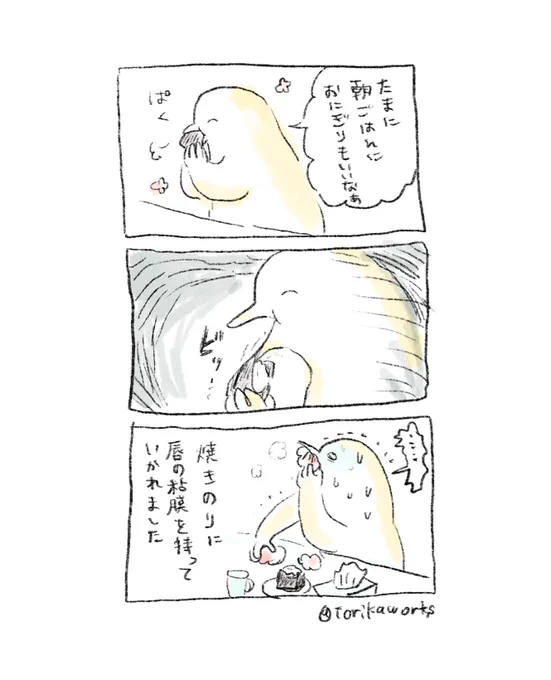 (地味に痛い話)
焼き海苔に唇の粘膜を持っていかれました 
