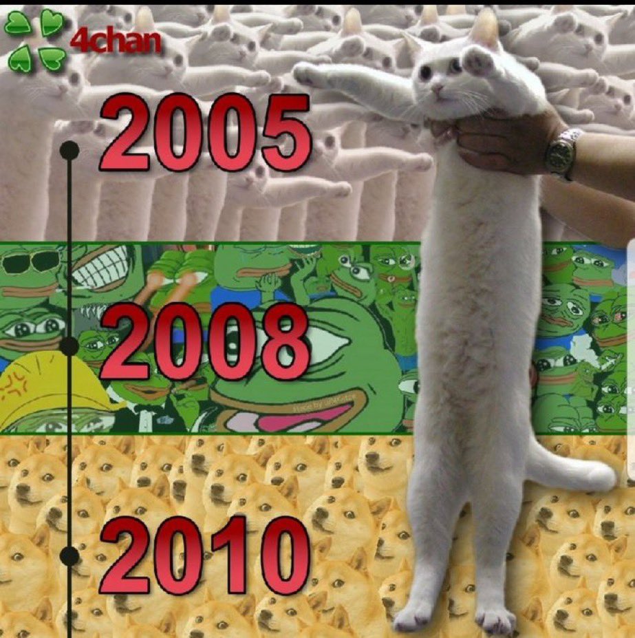 longthecats's tweet photo. @WhaleInsider @NobikoCoin can do that, sitting around 400k MC, fresh CTO with awesome OG community members behind it.

This 4chan OG meme is cult

The cat stays $LONG

#nobikocoin #longcat #SOL https://t.co/pOHqxoxlNZ