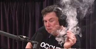 WeedcoinCto's tweet photo. @TeTheGamer $weedcoin all the way to the moon 
💨💨💨
Ca: EiFtkUDsYDfaQfY6TGqKUU61DttEpVCd2HFaUHZppump https://t.co/gXnKgoLfDi