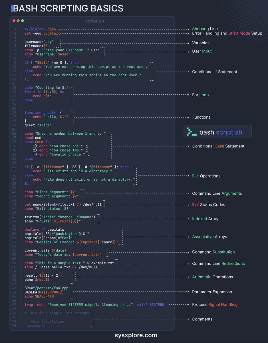 Bash Scripting Basics