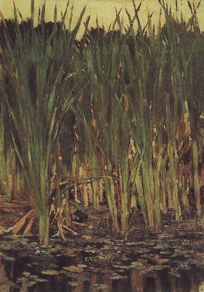 viktorvasnetsov's tweet image. Sedge