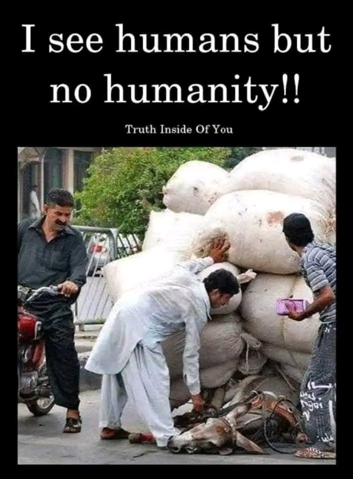 The faces of these criminals should be exposed everywhere!!!! shere shere share, animals needs freedom not cruelty