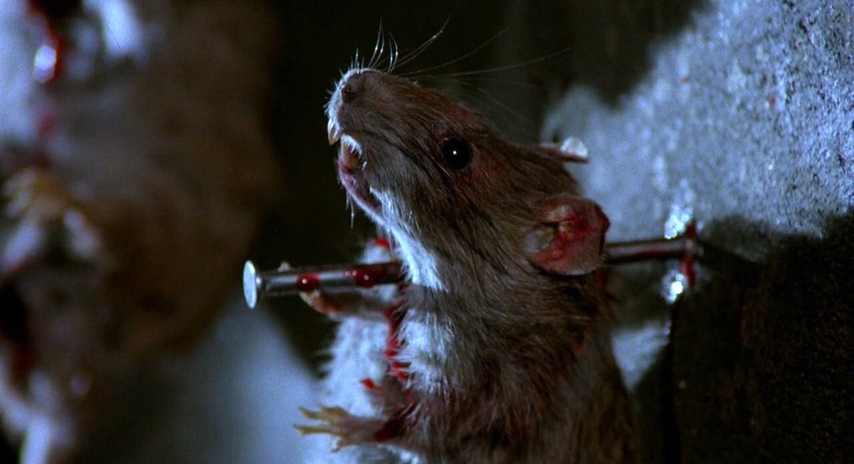 deathndhorror's tweet photo. Horror fans be like "this movie radiates comfort", and its Hellraiser https://t.co/5DMzegRX96