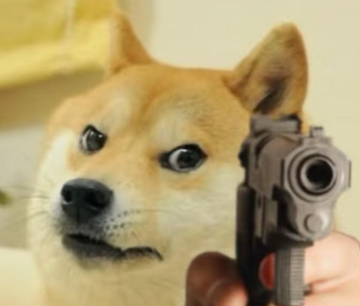 memegmy's tweet photo. @cb_doge Absolutely https://t.co/bKv1ADxmn7