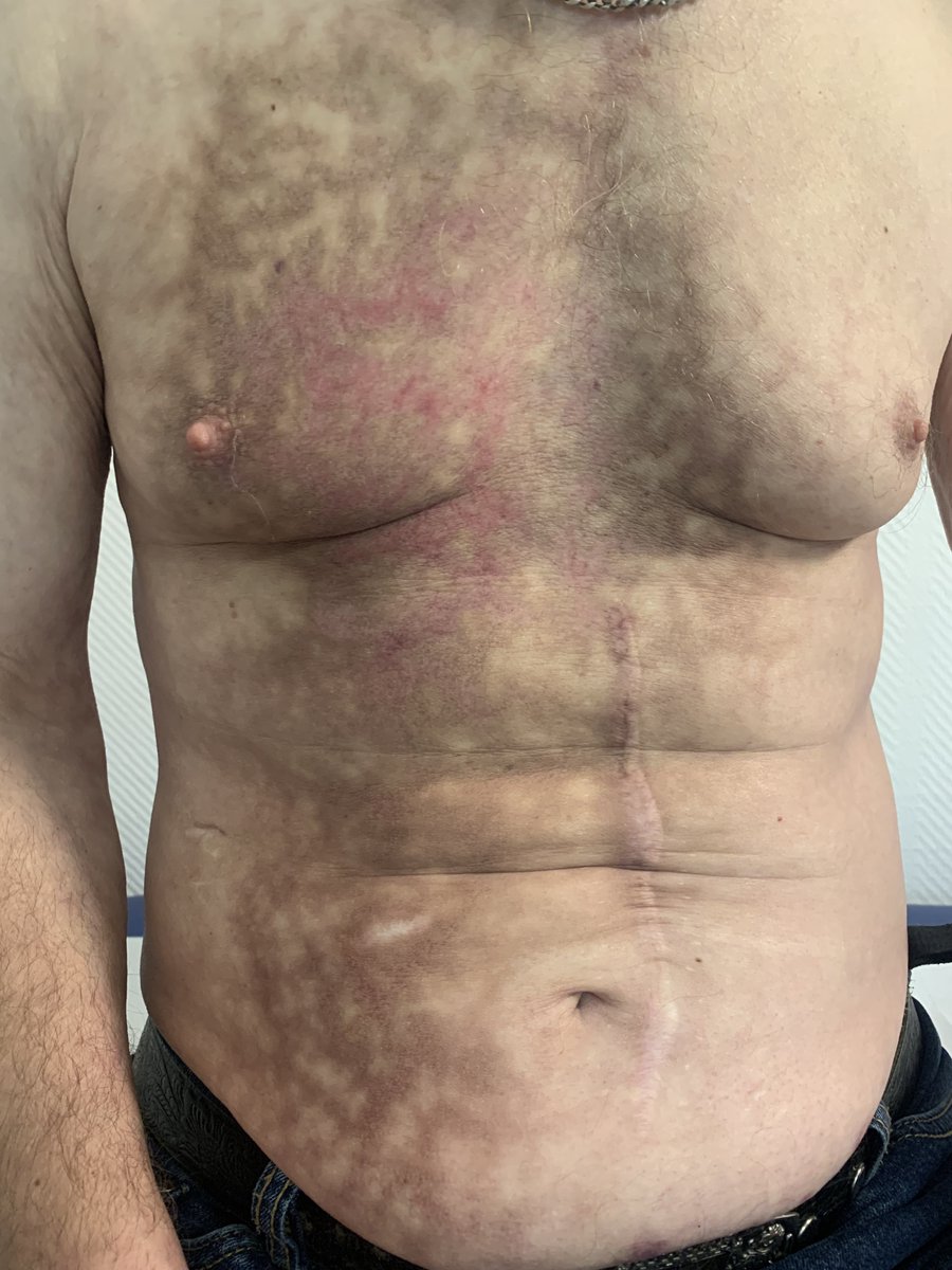 Dr. Karen v. Mücke tweet media