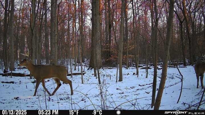 Matt Bambauer 🇺🇸 tweet media