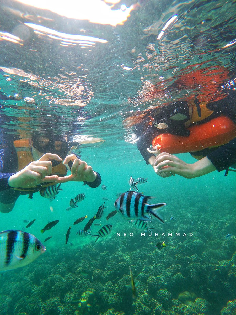 NeoMuhammadd's tweet photo. Snorkeling di Pulau Sapi 7.7km dari bandaraya Kota Kinabalu, Sabah @KKCity - banyak ikan tiba-tiba muncul tadi saat kami snorkeling. Cuaca mendung hari ini (16 Januari 2025) tapi underwater visibility sangat bagus. Cuti sekolah nanti bawa anak-anak snorkeling sini. https://t.co/56BK4d2XyI