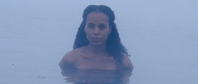 Stephen Gibbons tweet media