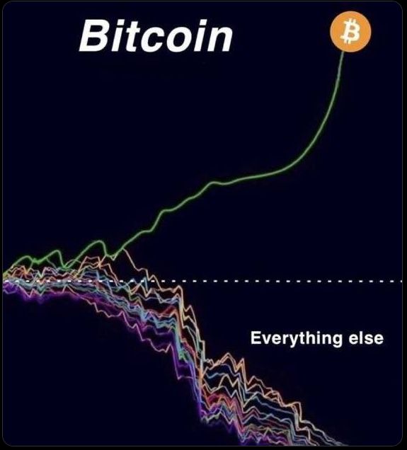 Codeurfou's tweet image. #Bitcoin vous intéresse (pour votre épargne ou pour la trésorerie de votre entreprise) mais vous ne savez pas par où commencer ? N'hésitez pas à me contacter pour que je vous forme techniquement et vous guide pour tout savoir sur cette technologie monétaire révolutionnaire !…