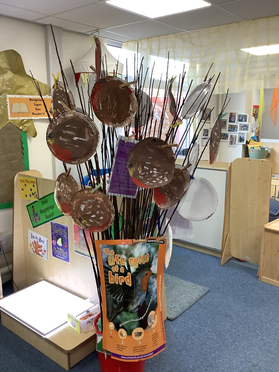 HasReception's tweet image. @HasReception decorated our class tree with a winter bird theme! We each made a robin using different painting techniques 
🎨 🪶
#ExpressiveArtsAndDesign
#EYFS
