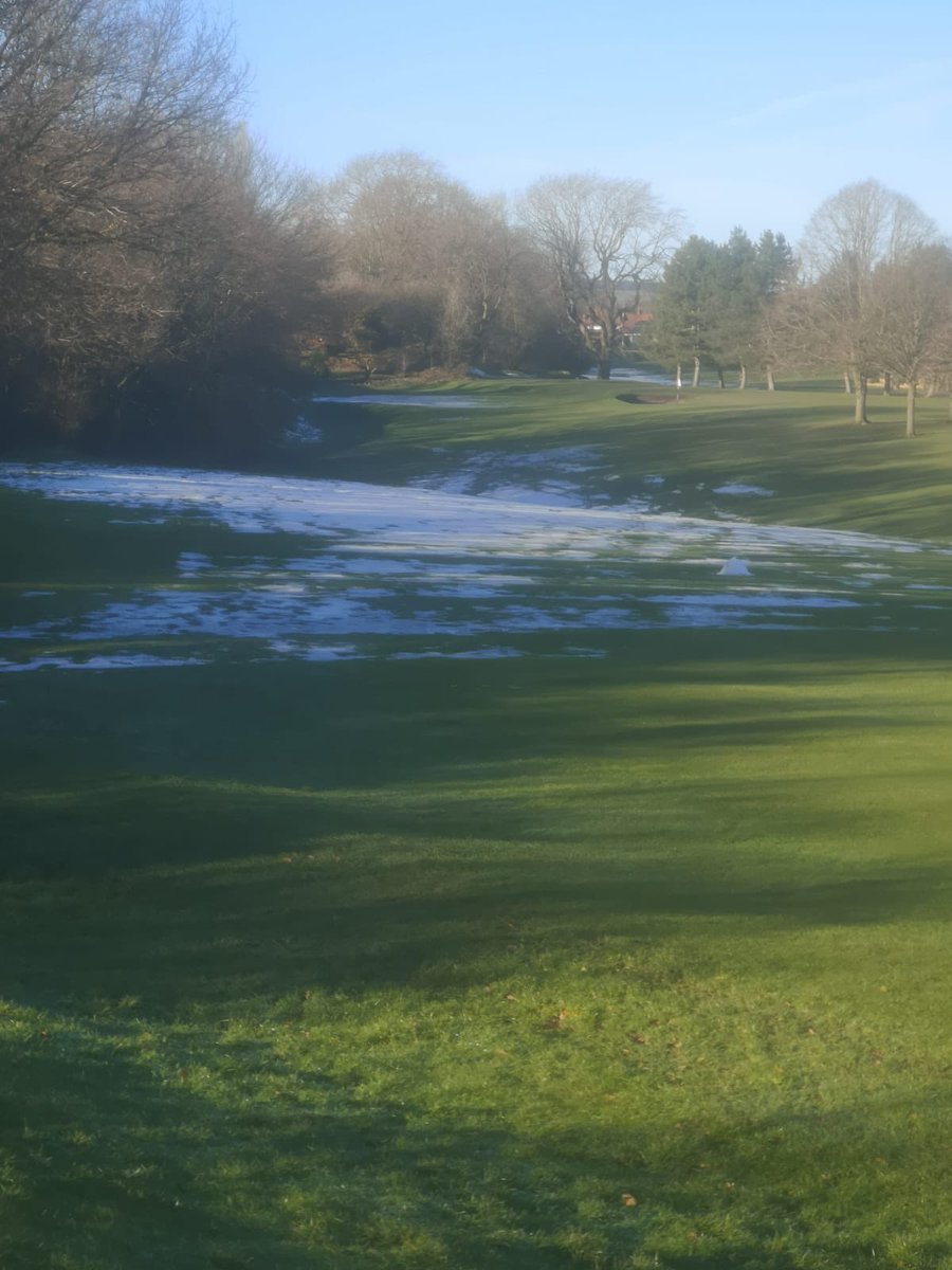 Dore & Totley Greens tweet media