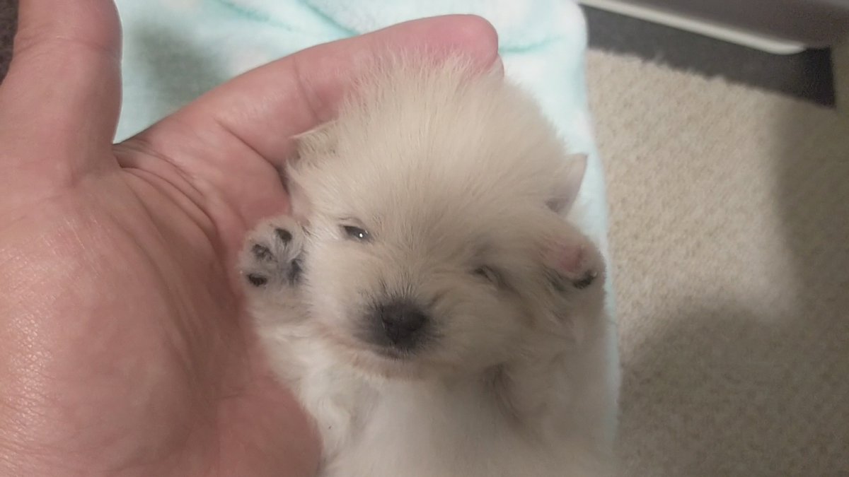 たまらん (∩´∀｀)∩