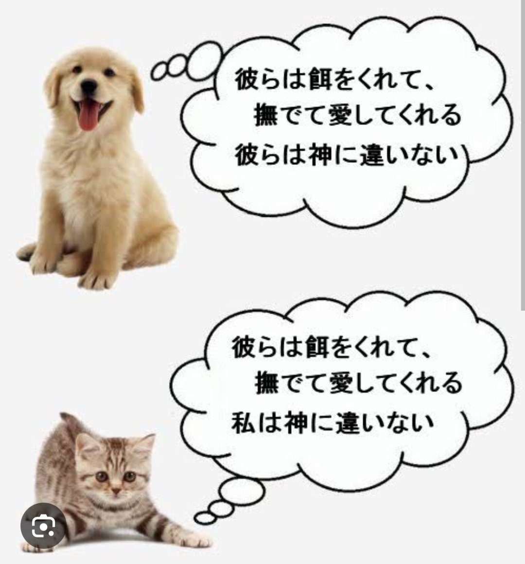 anubis_uto's tweet photo. ハゲしく同意
元ネタスレッドは殺伐としてるけど
ソコには触れないでおこう https://t.co/uRB0C4p3Gj
