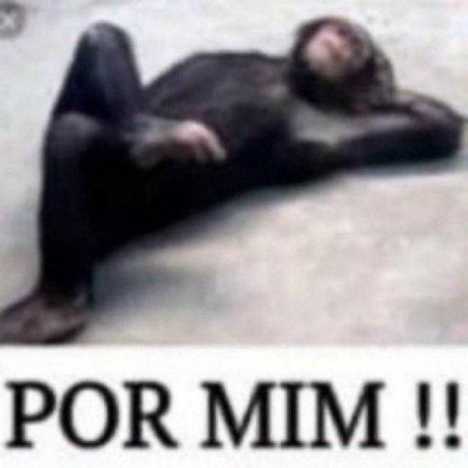 a fatura de janeiro…..sem palavras….mas o importante é ser feliz e comer bem
