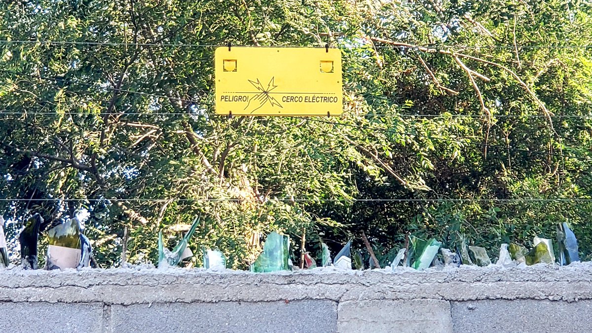 leoguevara80's tweet photo. #INSEGURIDAD #Cordoba vive en una casa blindada pero le entraron a robar 8 veces en tres meses y dos oportunidades llamó a policías, nunca llegaron porque se perdieron y no encontraron la casa. Odisea de Yamila "ahora tengo un perro para correr delincuentes" Movil @radiomitrecba. https://t.co/hJiFLQR9Ya