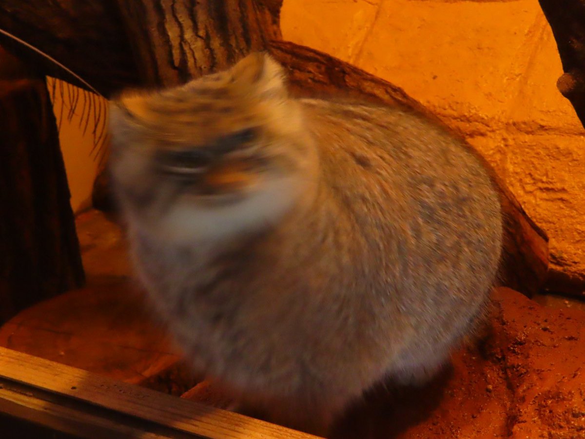 youmist's tweet photo. しゅるるるるる🌀🌀

ピタッッ✨✨ https://t.co/kQ5Uzj7Nhw