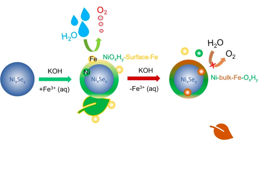 Lara Halaoui (@l_halaoui) on Twitter photo Check out our work on electrocatalysis for water splitting toward green hydrogen: here reporting on the Fe-surface dynamic catalytic site for oxygen evolution at nickel-iron-selenide.
A general behavior is emerging.
🌳☀️🌎
Stay tuned!
<a href="/issaaf/">Issaaf Mouawad</a>
sciencedirect.com/science/articl… Check out our work on electrocatalysis for water splitting toward green hydrogen: here reporting on the Fe-surface dynamic catalytic site for oxygen evolution at nickel-iron-selenide.
A general behavior is emerging.
🌳☀️🌎
Stay tuned!
<a href="/issaaf/">Issaaf Mouawad</a>
sciencedirect.com/science/articl…