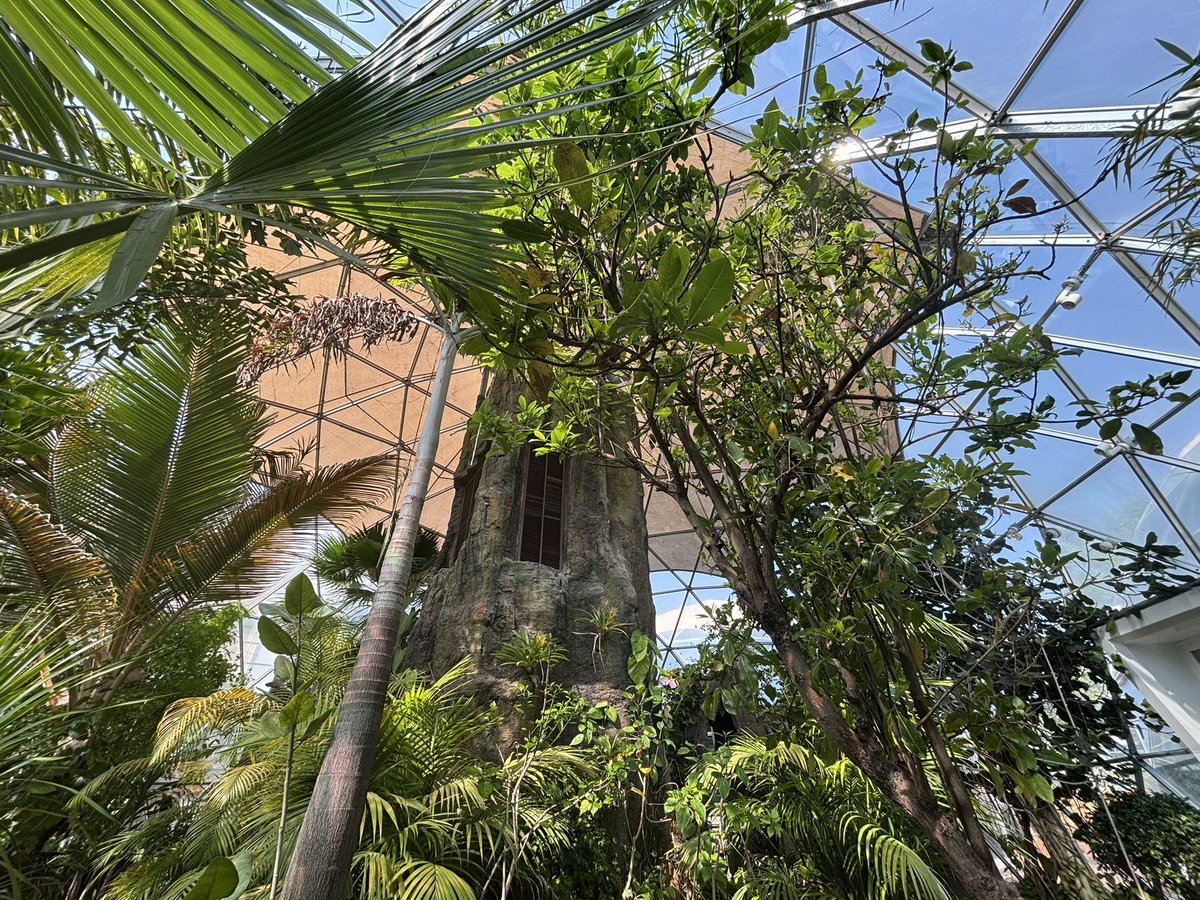 Georgia Rose Duncan 🇦🇪 tweet media